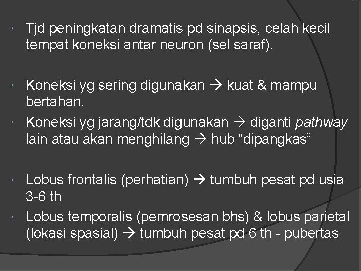  Tjd peningkatan dramatis pd sinapsis, celah kecil tempat koneksi antar neuron (sel saraf).