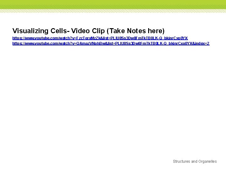 Visualizing Cells- Video Clip (Take Notes here) https: //www. youtube. com/watch? v=Fzc. Tgrx. Mz.