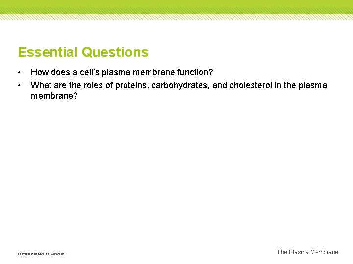 Essential Questions • • How does a cell’s plasma membrane function? What are the