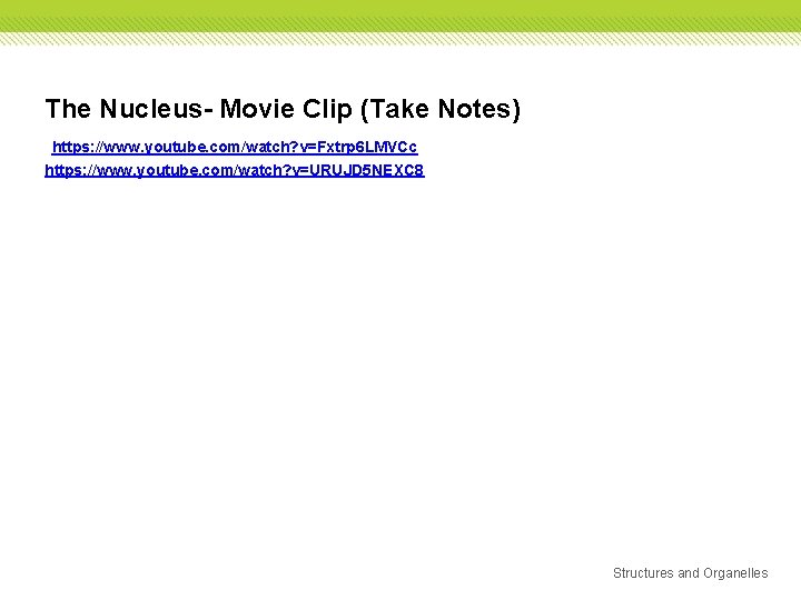 The Nucleus- Movie Clip (Take Notes) https: //www. youtube. com/watch? v=Fxtrp 6 LMVCc https: