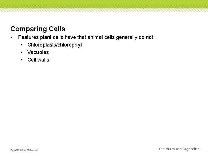 Comparing Cells • Features plant cells have that animal cells generally do not: •