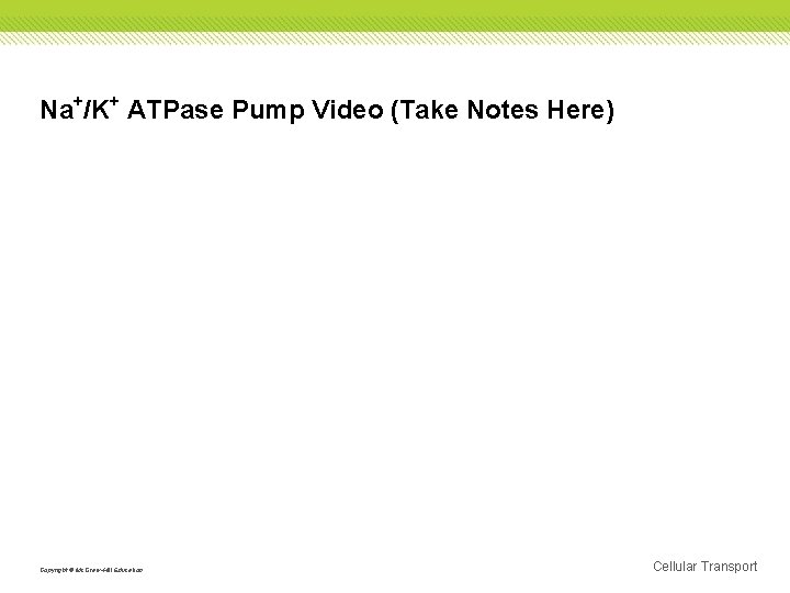 Na+/K+ ATPase Pump Video (Take Notes Here) Copyright © Mc. Graw-Hill Education Cellular Transport