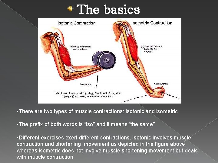 The basics • There are two types of muscle contractions: isotonic and isometric •