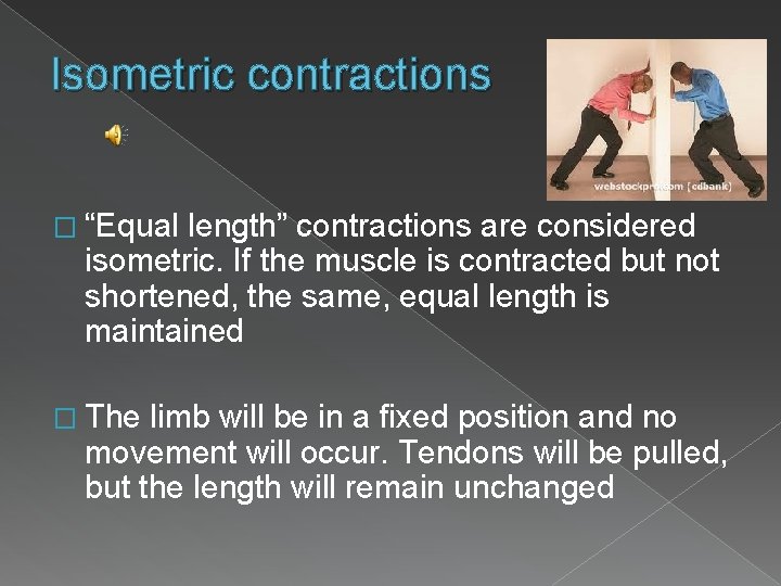 Isometric contractions � “Equal length” contractions are considered isometric. If the muscle is contracted