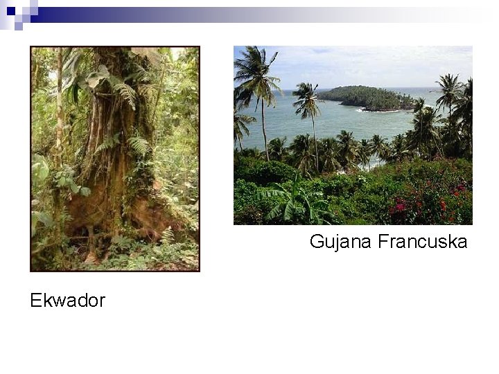 Gujana Francuska Ekwador 