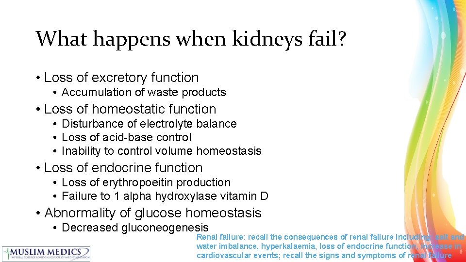 What happens when kidneys fail? • Loss of excretory function • Accumulation of waste