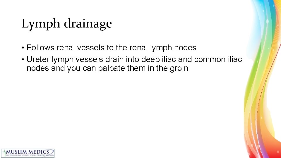 Lymph drainage • Follows renal vessels to the renal lymph nodes • Ureter lymph