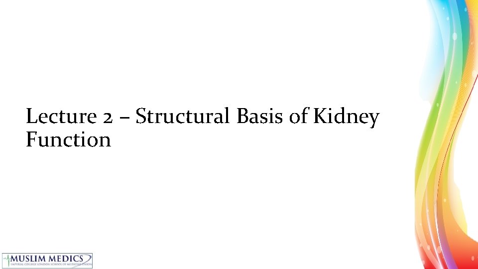 Lecture 2 – Structural Basis of Kidney Function 