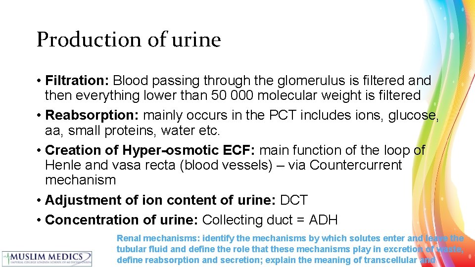 Production of urine • Filtration: Blood passing through the glomerulus is filtered and then