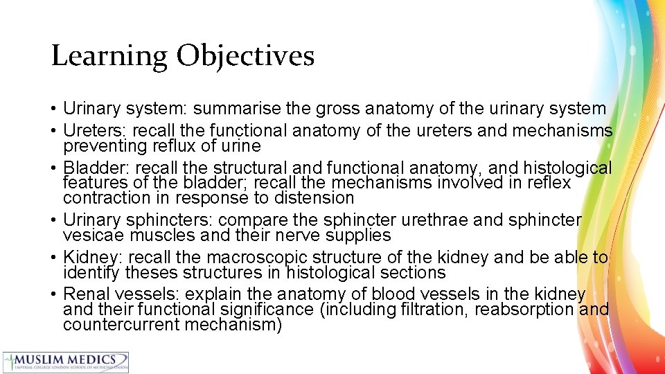 Learning Objectives • Urinary system: summarise the gross anatomy of the urinary system •