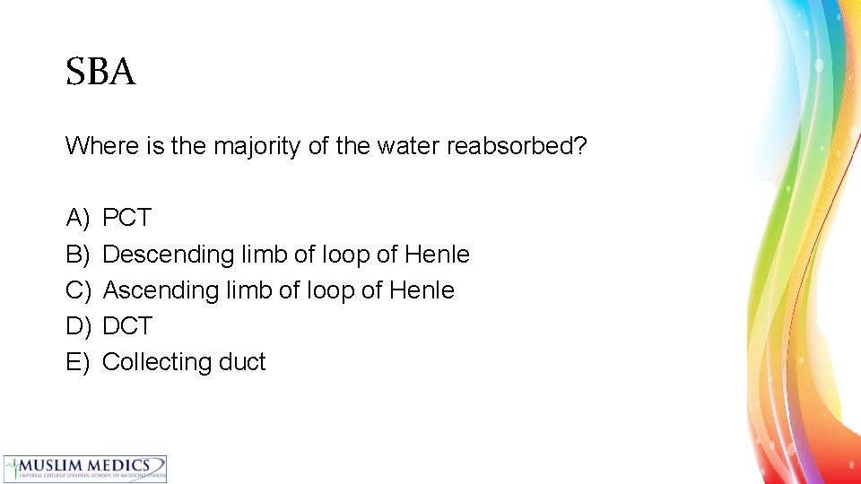 SBA Where is the majority of the water reabsorbed? A) B) C) D) E)