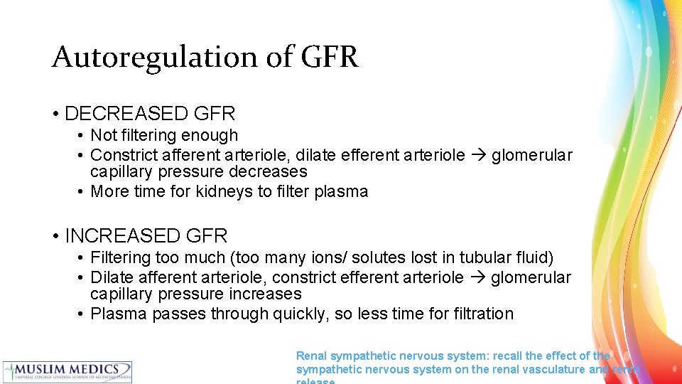 Autoregulation of GFR • DECREASED GFR • Not filtering enough • Constrict afferent arteriole,