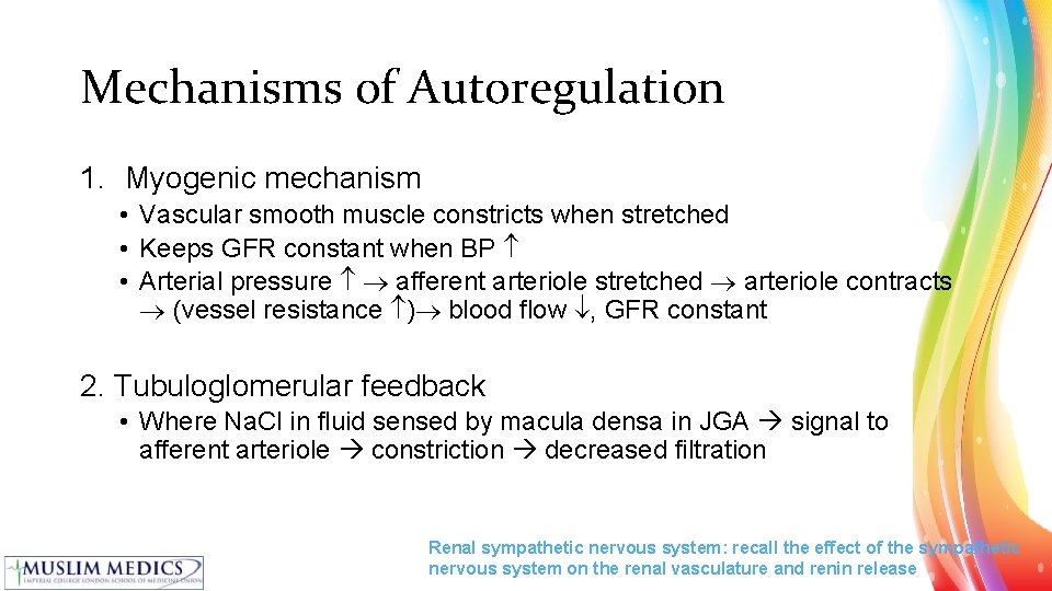 Mechanisms of Autoregulation 1. Myogenic mechanism • Vascular smooth muscle constricts when stretched •