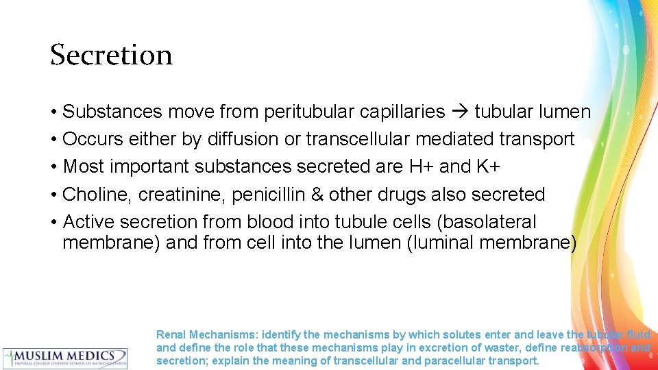 Secretion • Substances move from peritubular capillaries tubular lumen • Occurs either by diffusion