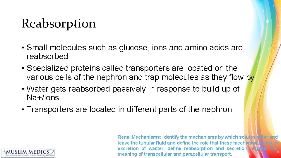 Reabsorption • Small molecules such as glucose, ions and amino acids are reabsorbed •