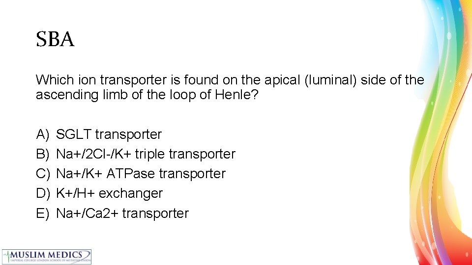 SBA Which ion transporter is found on the apical (luminal) side of the ascending