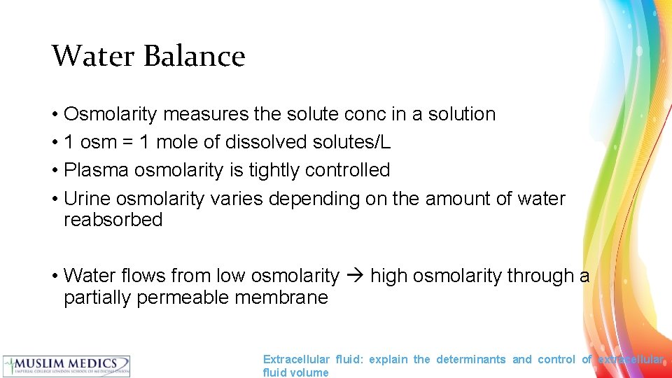 Water Balance • Osmolarity measures the solute conc in a solution • 1 osm