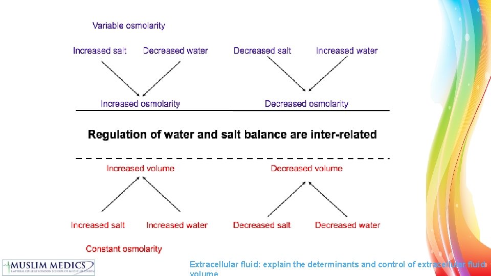 Extracellular fluid: explain the determinants and control of extracellular fluid 