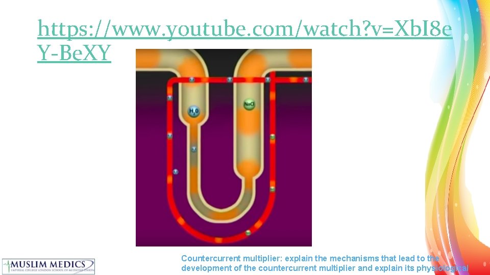 https: //www. youtube. com/watch? v=Xb. I 8 e Y-Be. XY Countercurrent multiplier: explain the