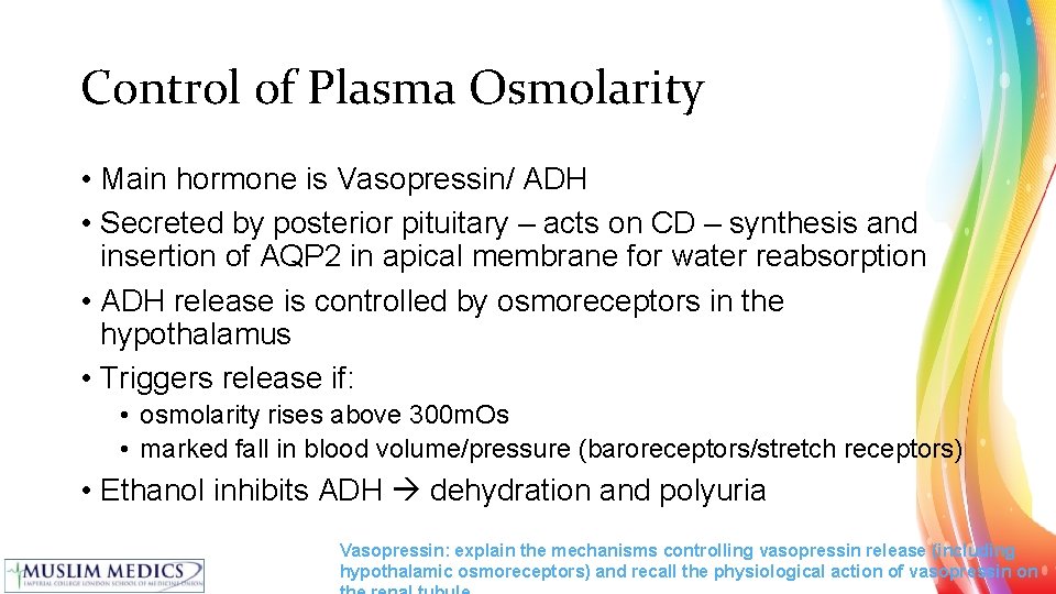 Control of Plasma Osmolarity • Main hormone is Vasopressin/ ADH • Secreted by posterior