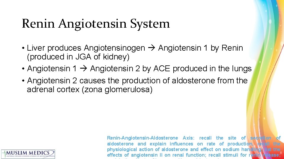 Renin Angiotensin System • Liver produces Angiotensinogen Angiotensin 1 by Renin (produced in JGA