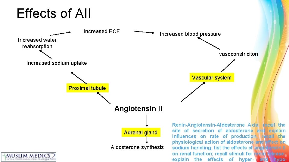 Effects of AII Increased ECF Increased blood pressure Increased water reabsorption vasoconstriciton Increased sodium