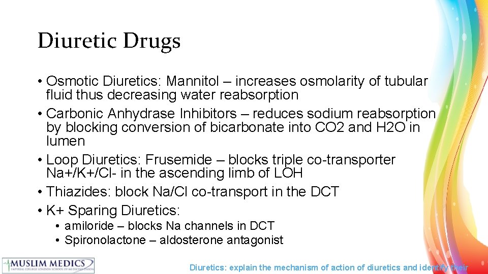 Diuretic Drugs • Osmotic Diuretics: Mannitol – increases osmolarity of tubular fluid thus decreasing