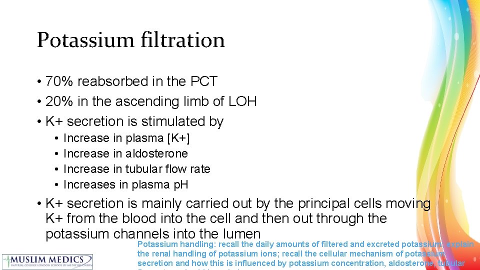 Potassium filtration • 70% reabsorbed in the PCT • 20% in the ascending limb
