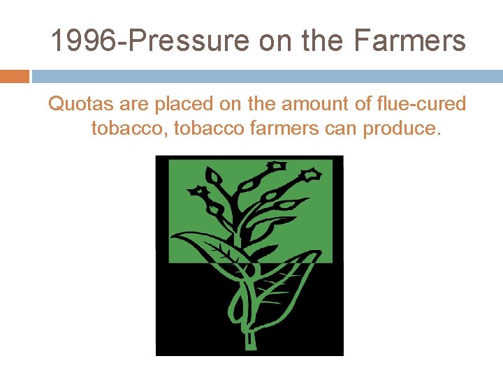 1996 -Pressure on the Farmers Quotas are placed on the amount of flue-cured tobacco,