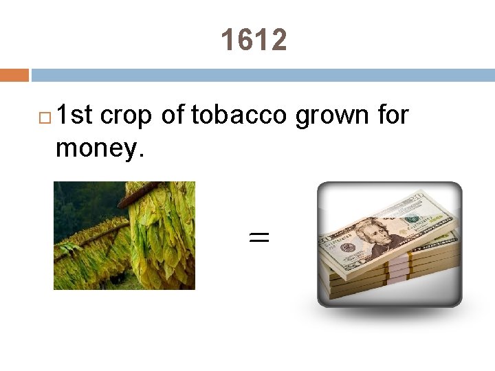 1612 1 st crop of tobacco grown for money. = 