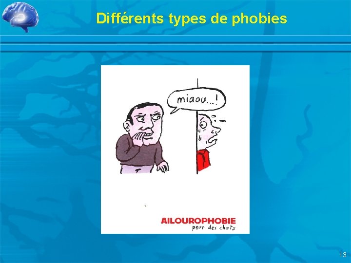 Différents types de phobies 13 