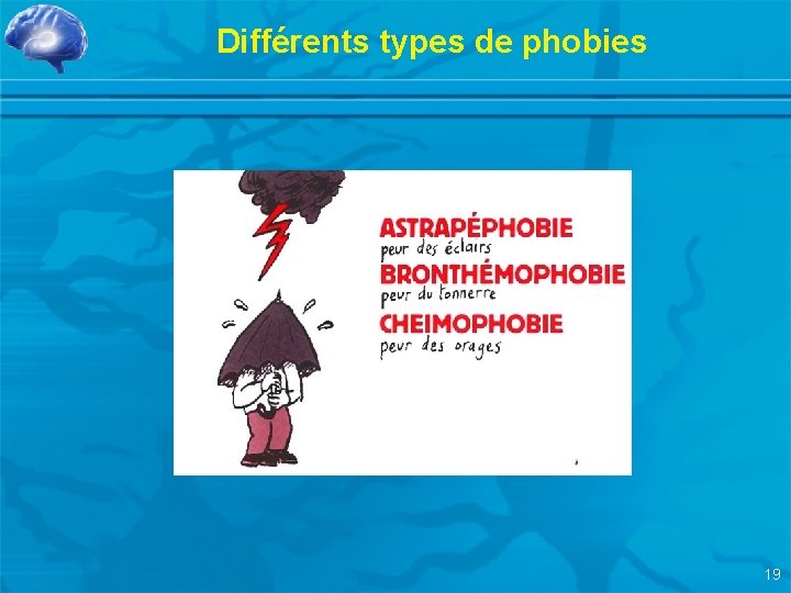 Différents types de phobies 19 