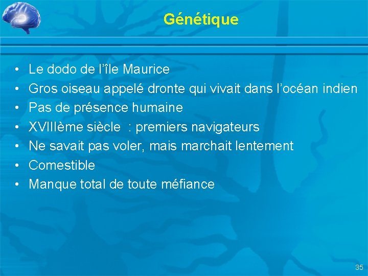 Génétique • • Le dodo de l’île Maurice Gros oiseau appelé dronte qui vivait