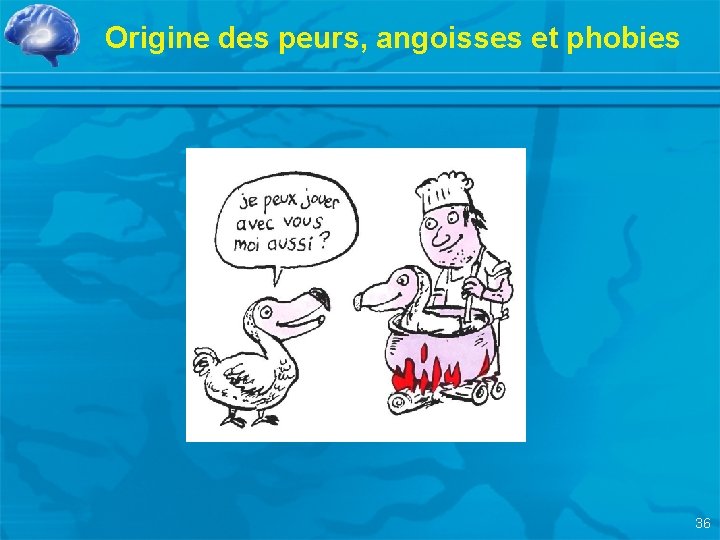 Origine des peurs, angoisses et phobies 36 