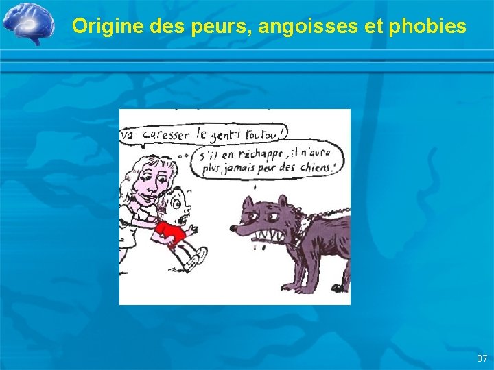 Origine des peurs, angoisses et phobies 37 