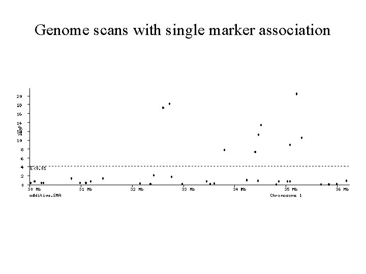 Genome scans with single marker association 