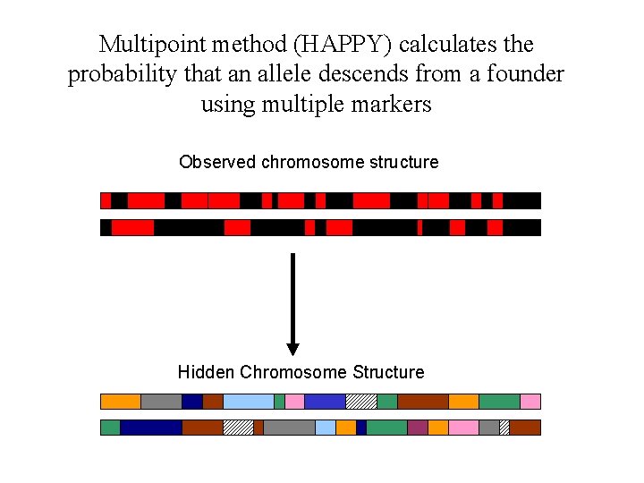 Multipoint method (HAPPY) calculates the probability that an allele descends from a founder using