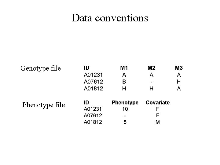 Data conventions Genotype file Phenotype file 