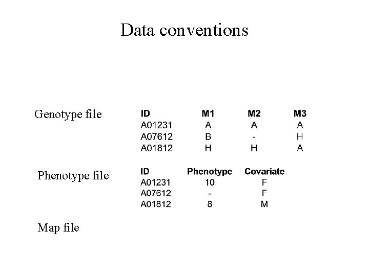 Data conventions Genotype file Phenotype file Map file 