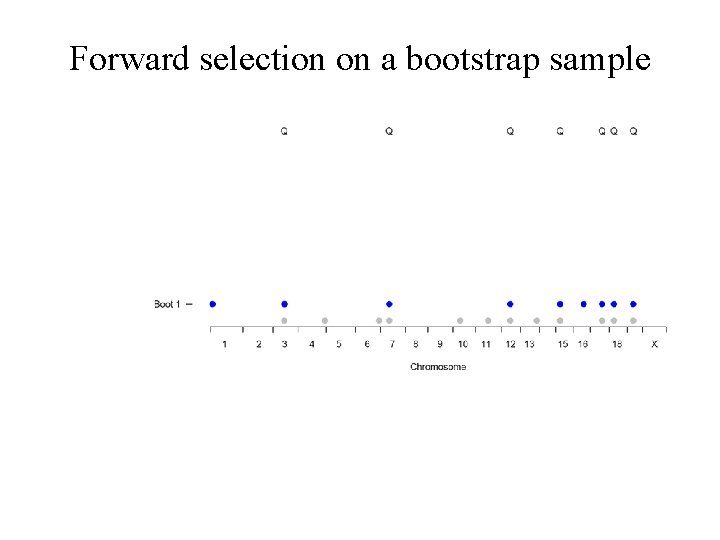 Forward selection on a bootstrap sample 