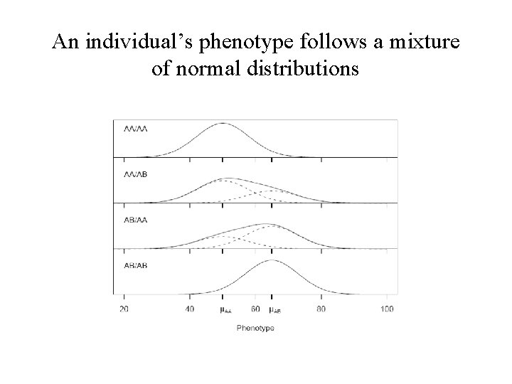 An individual’s phenotype follows a mixture of normal distributions 