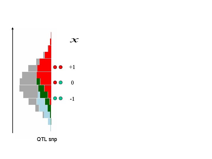 +1 0 -1 QTL snp 