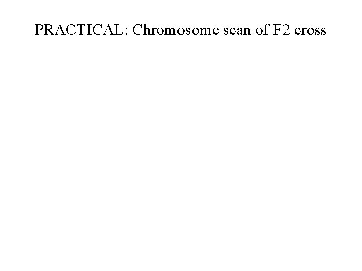 PRACTICAL: Chromosome scan of F 2 cross 