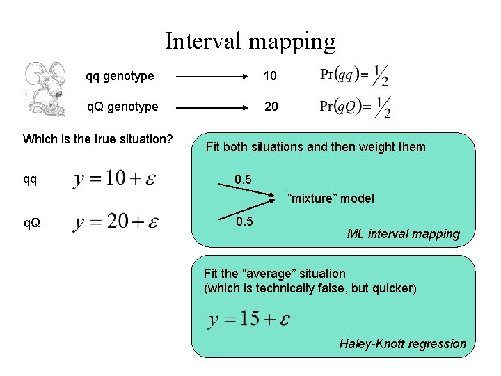 Interval mapping qq genotype 10 q. Q genotype 20 Which is the true situation?