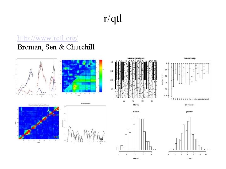 r/qtl http: //www. rqtl. org/ Broman, Sen & Churchill 