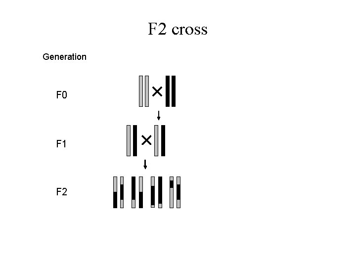 F 2 cross Generation F 0 F 1 F 2 