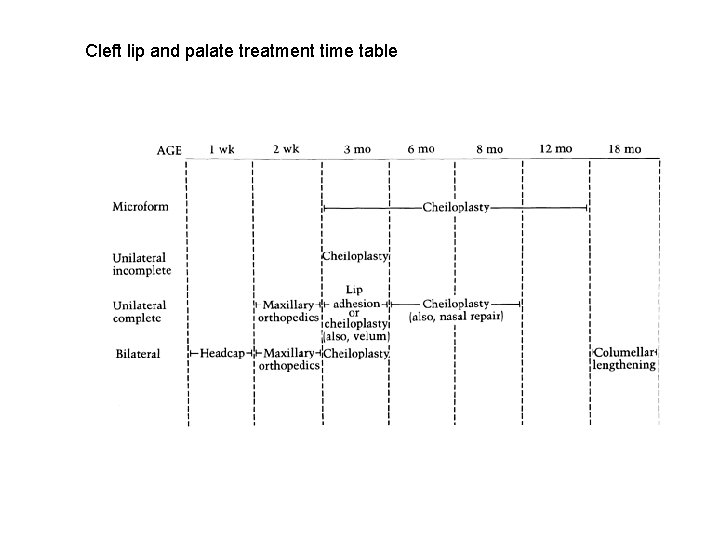 Cleft lip and palate treatment time table 