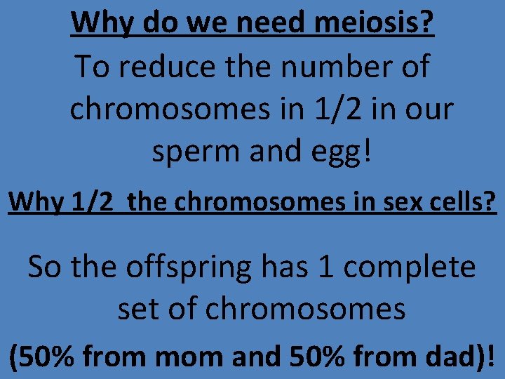 Why do we need meiosis? To reduce the number of chromosomes in 1/2 in