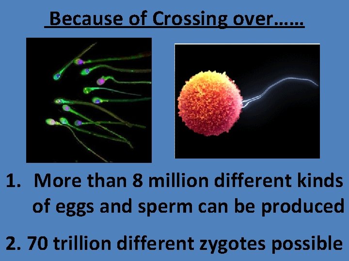 Because of Crossing over…… 1. More than 8 million different kinds of eggs and