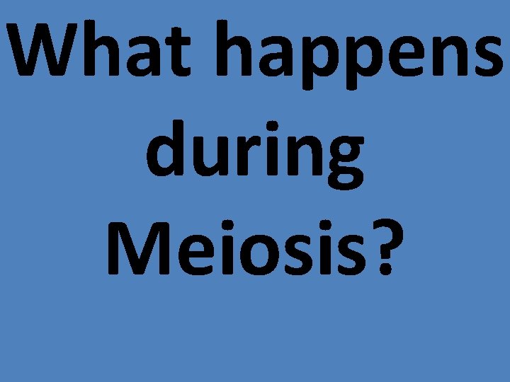 What happens during Meiosis? 